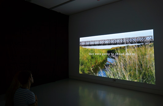 This is History (after all), Roz Mortimer, Image © Miyako Narita, courtesy of CGP London